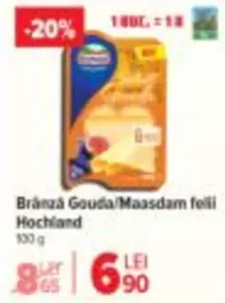 Gouda/Maasdam felli