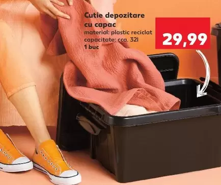 Cutie depozitare cu capac