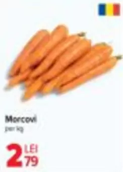 Morcovi