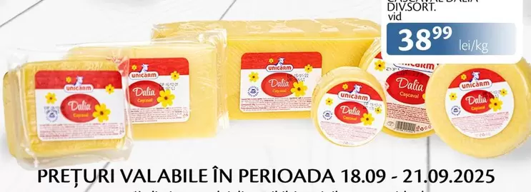 Dalia - brânză Edam