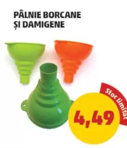 PÂLNIE BORCANE ȘI DAMIGENE