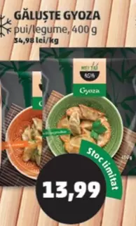 GĂLUŞTE GYOZA