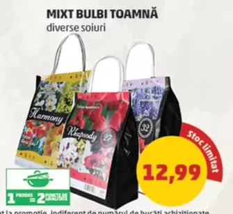 MIXT BULBI TOAMNĂ