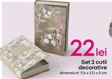 Set 2 cutii decorative
