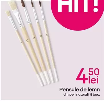 Pensule de lemn