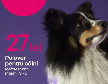 Pulover pentru câini