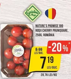 ROȘII CHERRY PRUNIŞOARE
