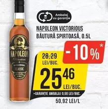 NAPOLEON VICTORIOUS