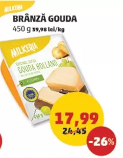 BRÂNZĂ GOUDA