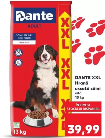XXL