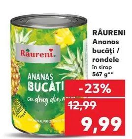 Ananas bucăţi / rondele