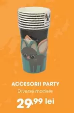 ACCESORII PARTY