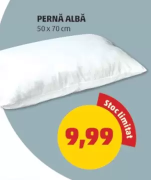 PERNĂ ALBĂ