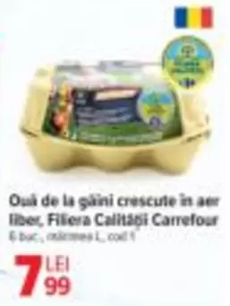 Ouă de la găini crescute în aer liber, Filiera Calității Carrefour