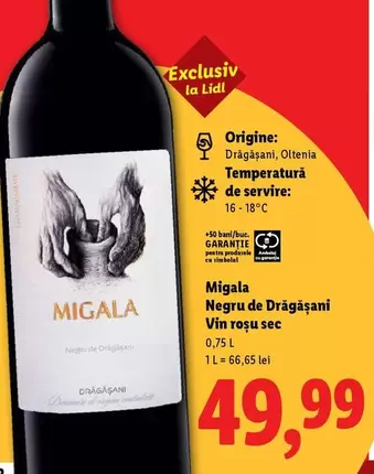 Migala Negru de Drăgăşani