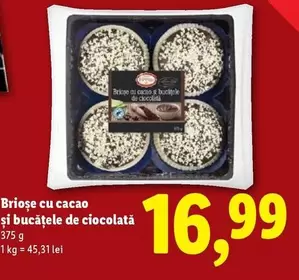 Brioșe cu cacao și bucăţele de ciocolată