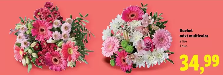 Buchet mixt multicolor