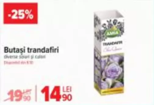 Butași trandafiri