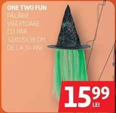 PĂLĂRIE VRĂJITOARE CU PĂR