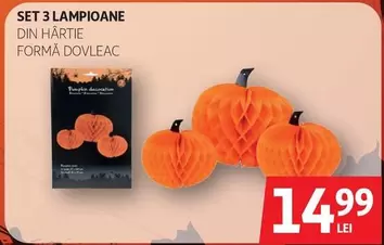 SET 3 LAMPIOANE DIN HÂRTIE FORMĂ DOVLEAC
