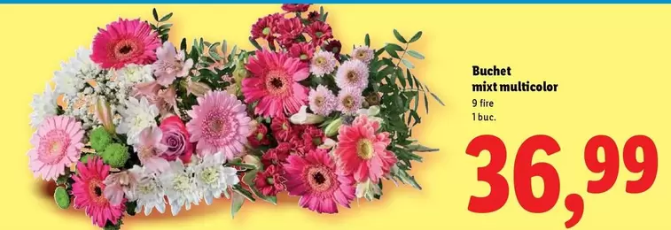 Buchet mixt multicolor