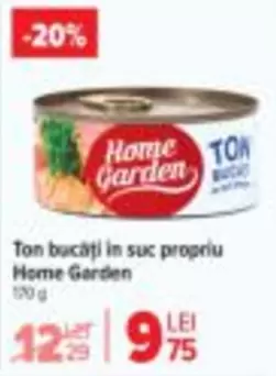 Ton bucăți în suc propriu