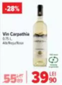 Vin Carpathia