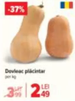 Dovleac plăcintar