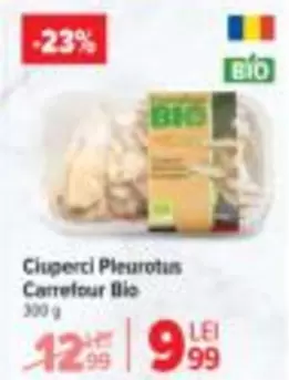 Ciuperci Pleurotus