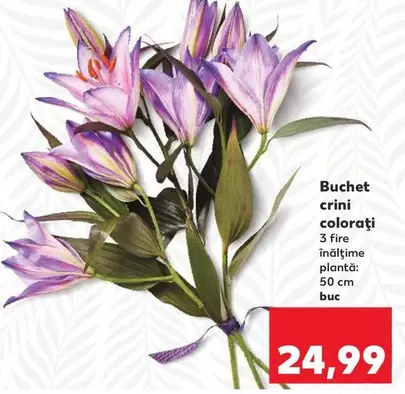 Buchet crini colorați