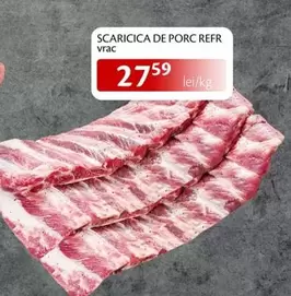 SCARICICA DE PORC REFR