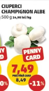 CIUPERCI CHAMPIGNON ALBE