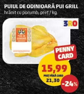 PUIUL DE ODINIOARĂ PUI GRILL
