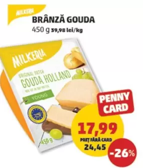 BRÂNZĂ GOUDA