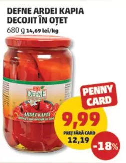 ARDEI KAPIA DECOJIT ÎN OȚET