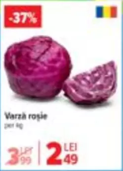 Varză roșie