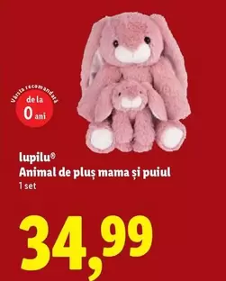 Animal de plus mama și puiul