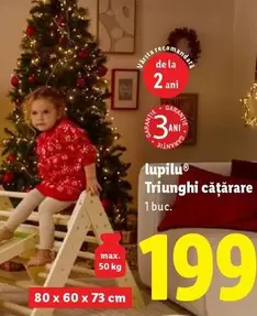 Triunghi cățărare