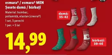 Şosete damă / bărbați