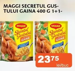 SECRETUL GUSTULUI GAINA