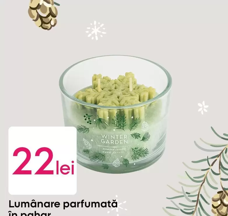 Forest - Lumânare parfumată