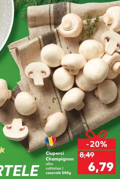 Ciuperci Champignon