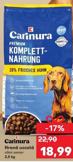 Hrană uscată coini senior