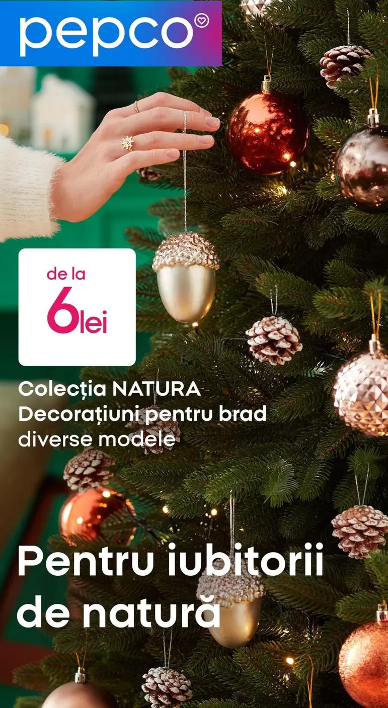 Decoratiuni pentru brad