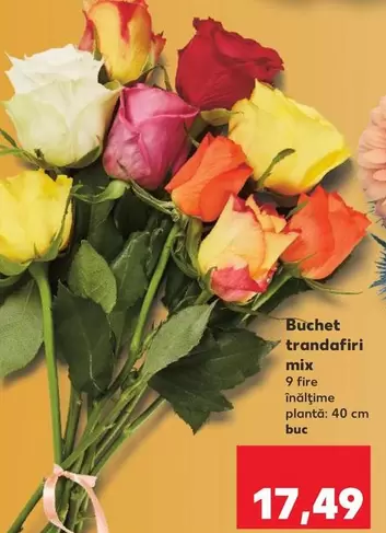 Buchet trandafiri mix