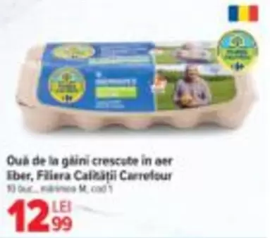 Ouă de la găini crescute in aer