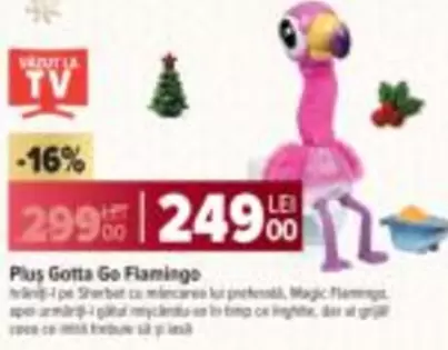 Plus Gotta Go Flamingo