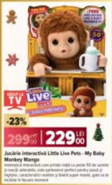 Little Live Pets-My Baby Monkey Mango