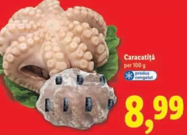 Caracatiță