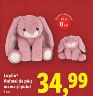 Animal de plus mama și puiul